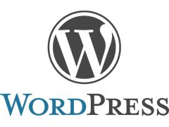 Webdesign met Wordpress